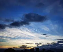 蒂怎么读什么意思 蒂怎么读什么意思